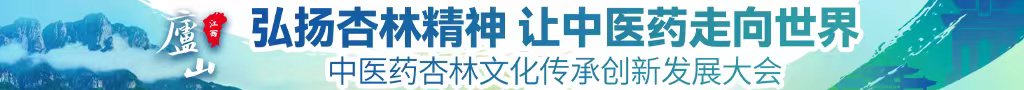 日逼逼av中医药杏林文化传承创新发展大会